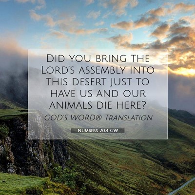 Picture 07 - Numbers 20:4 GW - Did you bring the Lord’s assembly into this - Bible Verse Picture