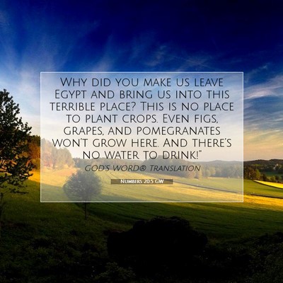Picture 07 - Numbers 20:5 GW - Why did you make us leave Egypt and bring us into - Bible Verse Picture