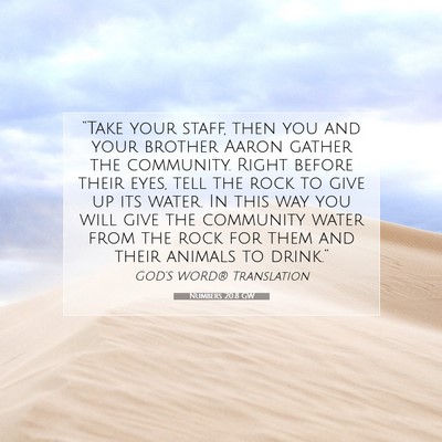 Picture 07 - Numbers 20:8 GW - “Take your staff, then you and your brother - Bible Verse Picture