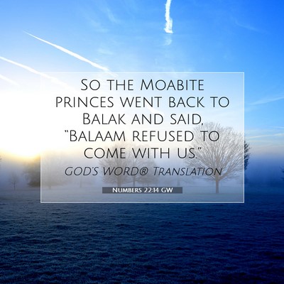 Picture 07 - Numbers 22:14 GW - So the Moabite princes went back to Balak and - Bible Verse Picture