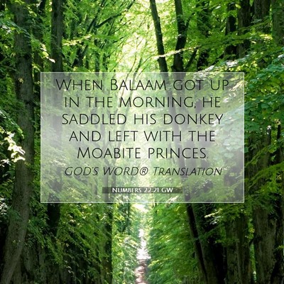 Picture 07 - Numbers 22:21 GW - When Balaam got up in the morning, he saddled his - Bible Verse Picture