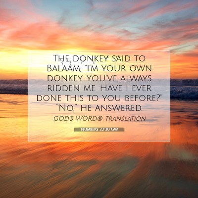 Picture 07 - Numbers 22:30 GW - The donkey said to Balaam, “I’m your own - Bible Verse Picture