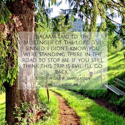 Picture 07 - Numbers 22:34 GW - Balaam said to the Messenger of the Lord, - Bible Verse Picture
