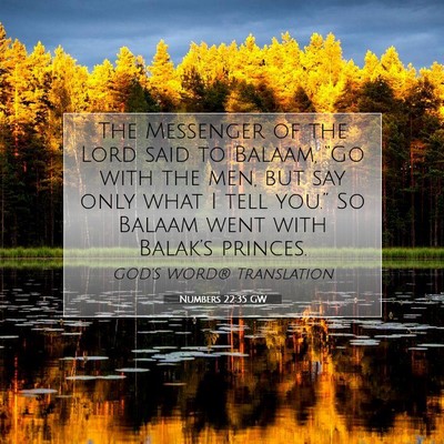 Picture 07 - Numbers 22:35 GW - The Messenger of the Lord said to Balaam, “Go - Bible Verse Picture