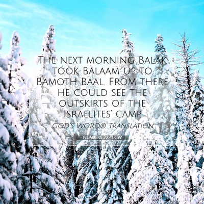 Picture 07 - Numbers 22:41 GW - The next morning Balak took Balaam up to Bamoth - Bible Verse Picture