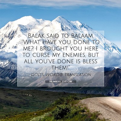 Picture 07 - Numbers 23:11 GW - Balak said to Balaam, “What have you done to - Bible Verse Picture