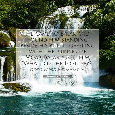Picture 07 - Numbers 23:17 GW - He came to Balak and found him standing beside - Bible Verse Picture