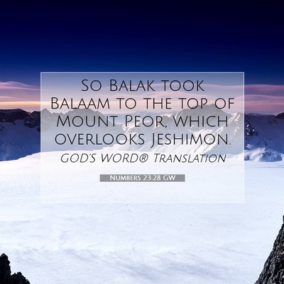 Picture 07 - Numbers 23:28 GW - So Balak took Balaam to the top of Mount Peor, - Bible Verse Picture