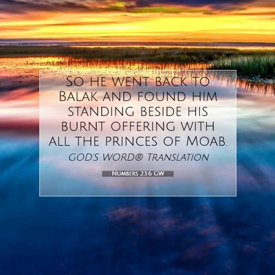 Picture 07 - Numbers 23:6 GW - So he went back to Balak and found him standing - Bible Verse Picture