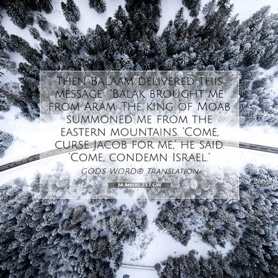 Picture 07 - Numbers 23:7 GW - Then Balaam delivered this message: “Balak - Bible Verse Picture