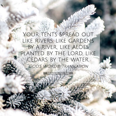 Picture 07 - Numbers 24:6 GW - Your tents spread out like rivers, like gardens - Bible Verse Picture