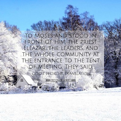 Picture 07 - Numbers 27:2 GW - to Moses and stood in front of him, the priest - Bible Verse Picture
