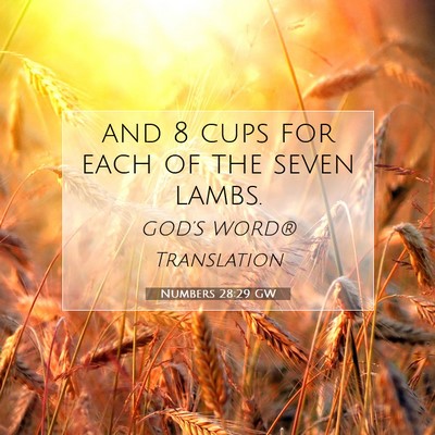 Picture 07 - Numbers 28:29 GW - and 8 cups for each of the seven - Bible Verse Picture