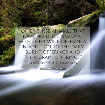 Picture 07 - Numbers 28:31 GW - Offer these animals that have no defects along - Bible Verse Picture