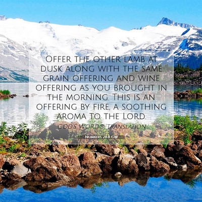 Picture 07 - Numbers 28:8 GW - Offer the other lamb at dusk along with the same - Bible Verse Picture