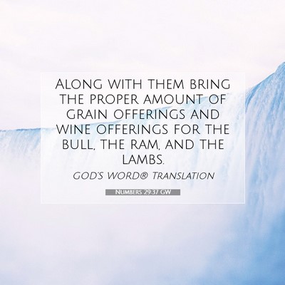 Picture 07 - Numbers 29:37 GW - Along with them bring the proper amount of grain - Bible Verse Picture