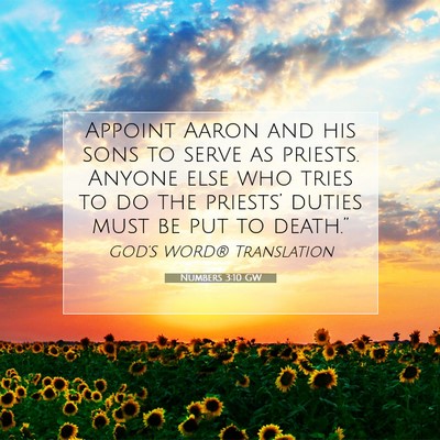 Picture 07 - Numbers 3:10 GW - Appoint Aaron and his sons to serve as priests. - Bible Verse Picture
