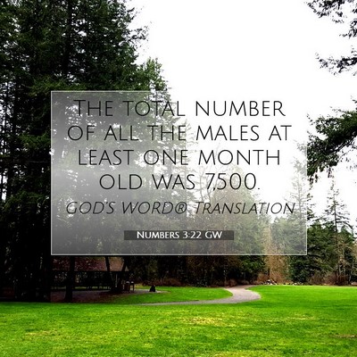 Picture 07 - Numbers 3:22 GW - The total number of all the males at least one - Bible Verse Picture