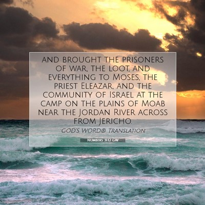 Picture 07 - Numbers 31:12 GW - and brought the prisoners of war, the loot, and - Bible Verse Picture