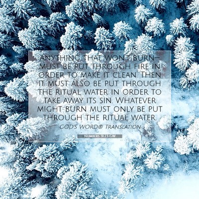 Picture 07 - Numbers 31:23 GW - anything that won’t burn—must be put through - Bible Verse Picture