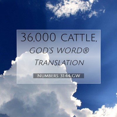 Picture 07 - Numbers 31:44 GW - 36,000 - Bible Verse Picture