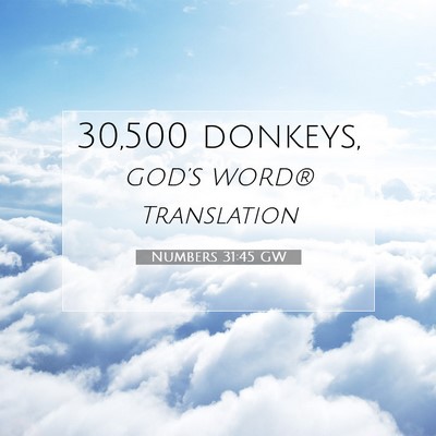 Picture 07 - Numbers 31:45 GW - 30,500 - Bible Verse Picture