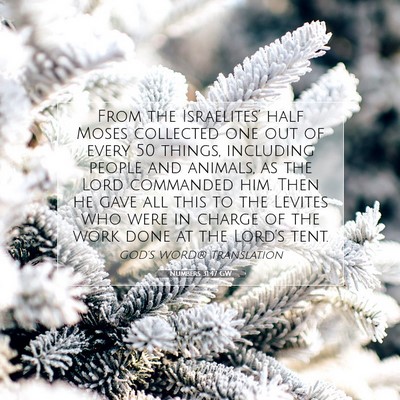 Picture 07 - Numbers 31:47 GW - From the Israelites’ half Moses collected one - Bible Verse Picture
