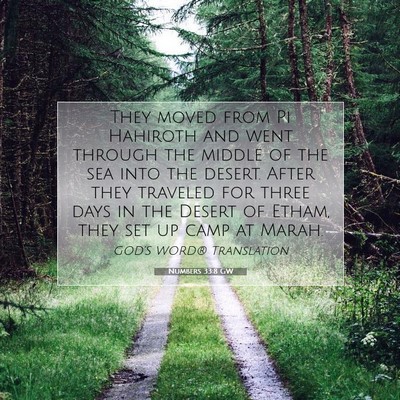 Picture 07 - Numbers 33:8 GW - They moved from Pi Hahiroth and went through the - Bible Verse Picture