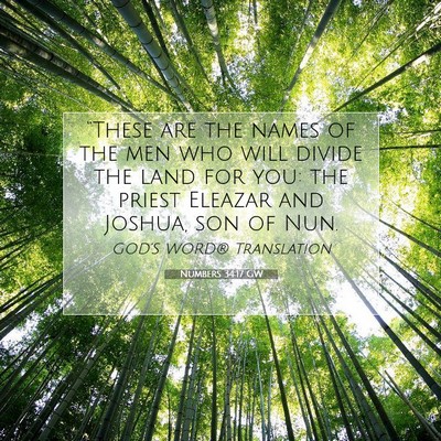Picture 07 - Numbers 34:17 GW - “These are the names of the men who will divide - Bible Verse Picture