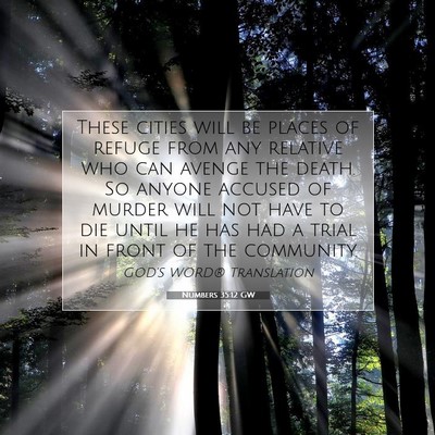 Picture 07 - Numbers 35:12 GW - These cities will be places of refuge from any - Bible Verse Picture