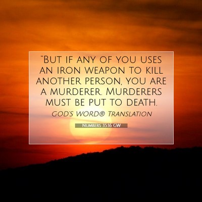 Picture 07 - Numbers 35:16 GW - “But if any of you uses an iron weapon to kill - Bible Verse Picture