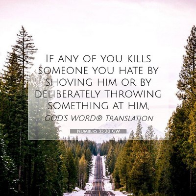 Picture 07 - Numbers 35:20 GW - If any of you kills someone you hate by shoving - Bible Verse Picture