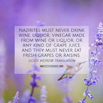 Picture 07 - Numbers 6:3 GW - Nazirites must never drink wine, liquor, vinegar - Bible Verse Picture