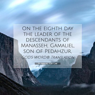 Picture 07 - Numbers 7:54 GW - On the eighth day the leader of the descendants - Bible Verse Picture