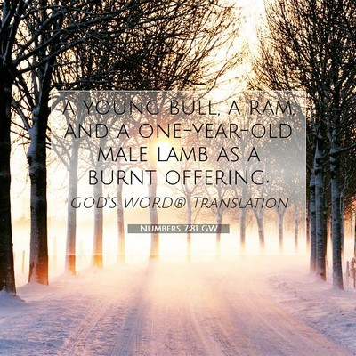 Picture 07 - Numbers 7:81 GW - a young bull, a ram, and a one-year-old male lamb - Bible Verse Picture