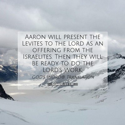 Picture 07 - Numbers 8:11 GW - Aaron will present the Levites to the Lord as an - Bible Verse Picture