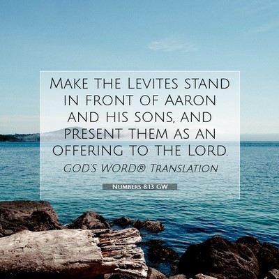Picture 07 - Numbers 8:13 GW - Make the Levites stand in front of Aaron and his - Bible Verse Picture