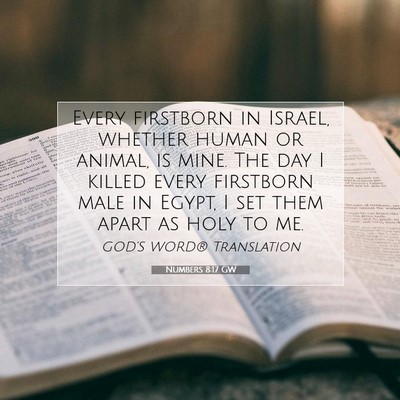 Picture 07 - Numbers 8:17 GW - Every firstborn in Israel, whether human or - Bible Verse Picture