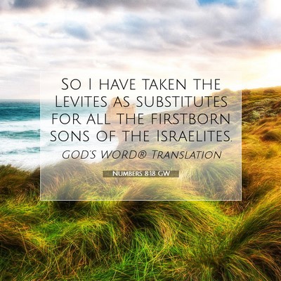Picture 07 - Numbers 8:18 GW - So I have taken the Levites as substitutes for - Bible Verse Picture