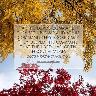 Picture 07 - Numbers 9:23 GW - At the Lord’s command they set up camp, and at - Bible Verse Picture
