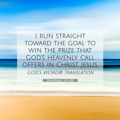 Picture 07 - Philippians 3:14 GW - I run straight toward the goal to win the prize - Bible Verse Picture