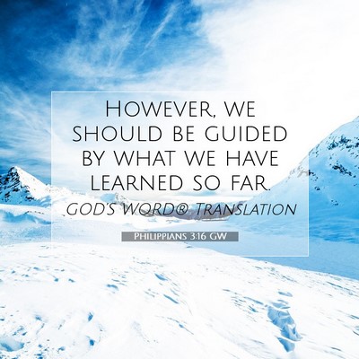 Picture 07 - Philippians 3:16 GW - However, we should be guided by what we have - Bible Verse Picture