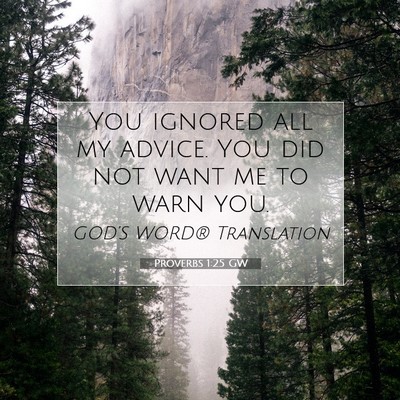 Picture 07 - Proverbs 1:25 GW - You ignored all my advice. You did not want me to - Bible Verse Picture