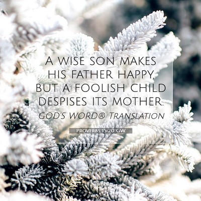 Picture 07 - Proverbs 15:20 GW - A wise son makes his father happy, but a foolish - Bible Verse Picture