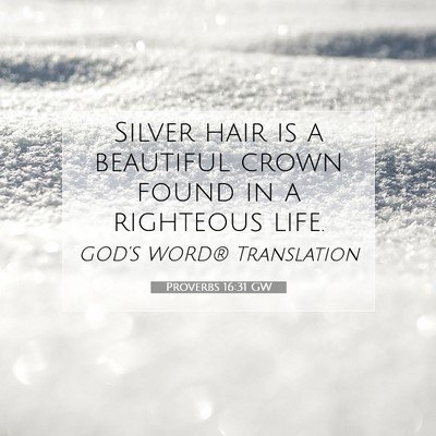Picture 07 - Proverbs 16:31 GW - Silver hair is a beautiful crown found in a - Bible Verse Picture