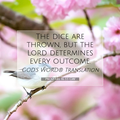 Picture 07 - Proverbs 16:33 GW - The dice are thrown, but the Lord determines - Bible Verse Picture
