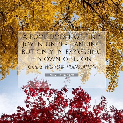 Picture 07 - Proverbs 18:2 GW - A fool does not find joy in understanding but - Bible Verse Picture