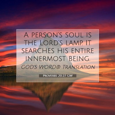 Picture 07 - Proverbs 20:27 GW - A person’s soul is the Lord’s lamp. It - Bible Verse Picture
