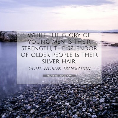 Picture 07 - Proverbs 20:29 GW - While the glory of young men is their strength, - Bible Verse Picture