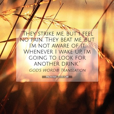 Picture 07 - Proverbs 23:35 GW - “They strike me, but I feel no pain. They beat - Bible Verse Picture